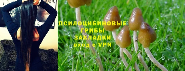 крисы Абинск